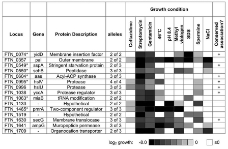 FIG 3 