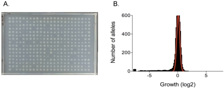 FIG 5 