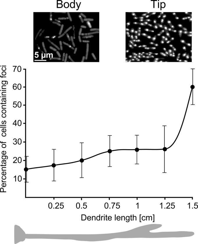 FIG 3 