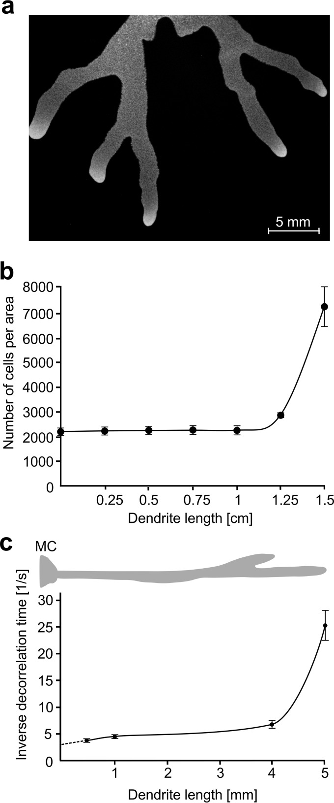 FIG 1 