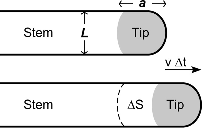 FIG 6 