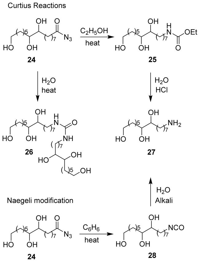 Scheme 6