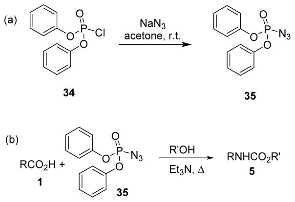 Scheme 8