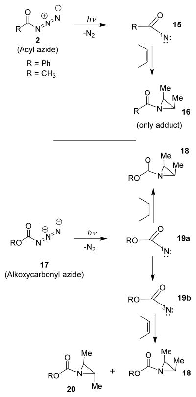 Scheme 4