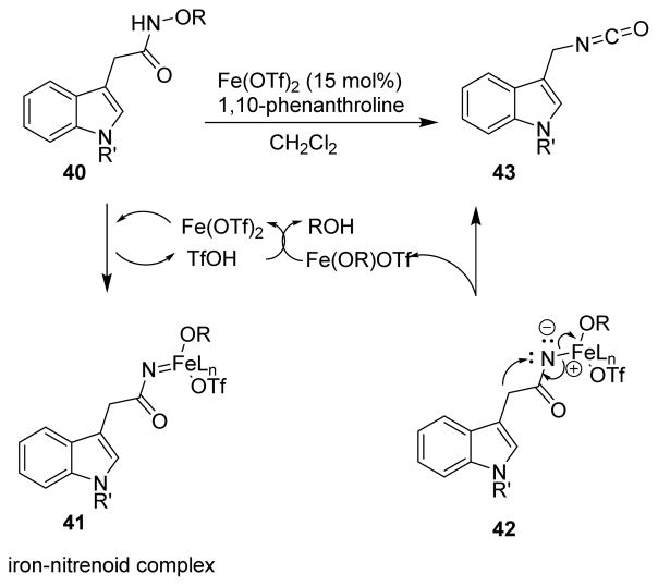 Scheme 11