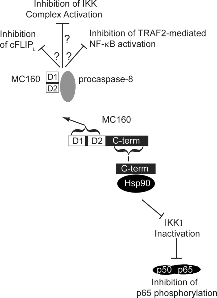 FIG. 8.