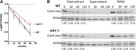 Figure 4.—