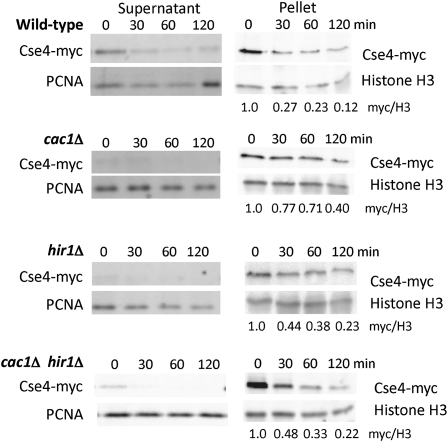 Figure 2.—