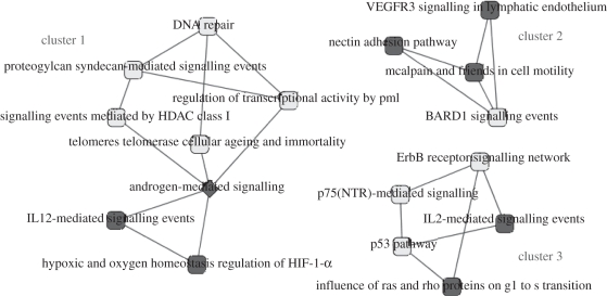 Figure 3.