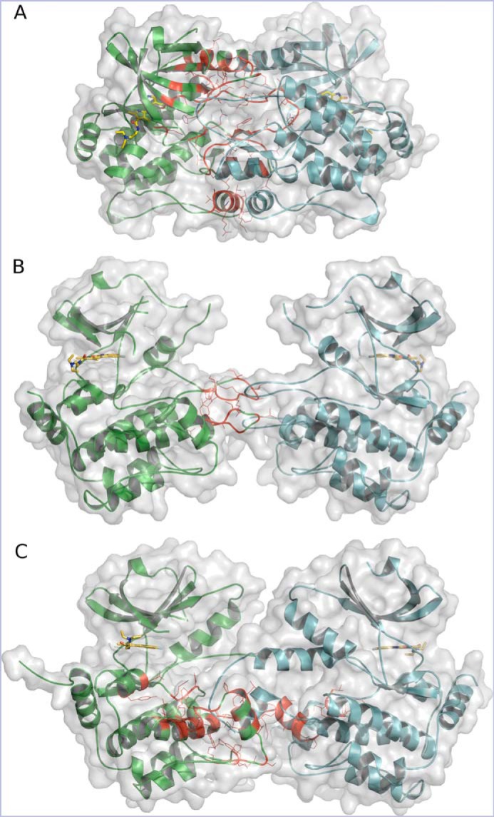 Figure 3.