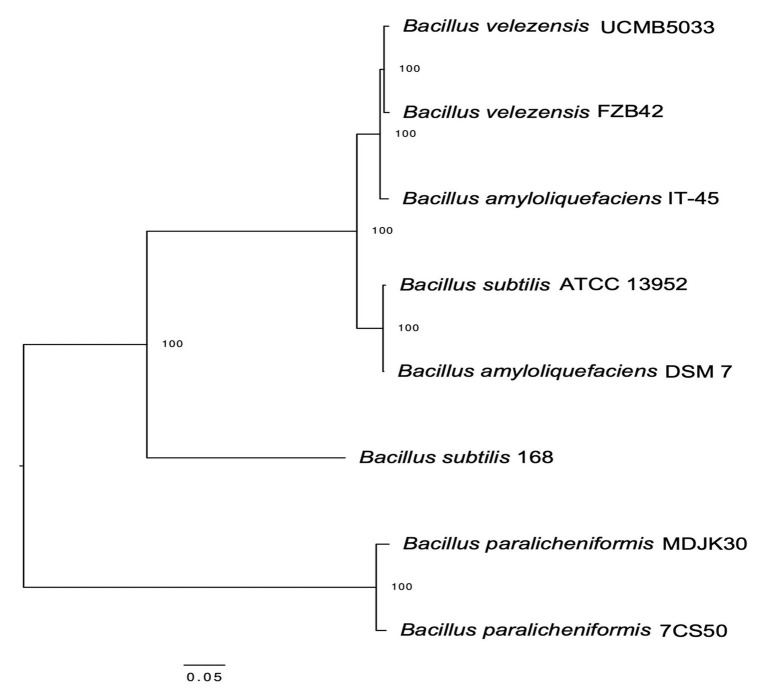 Figure 5