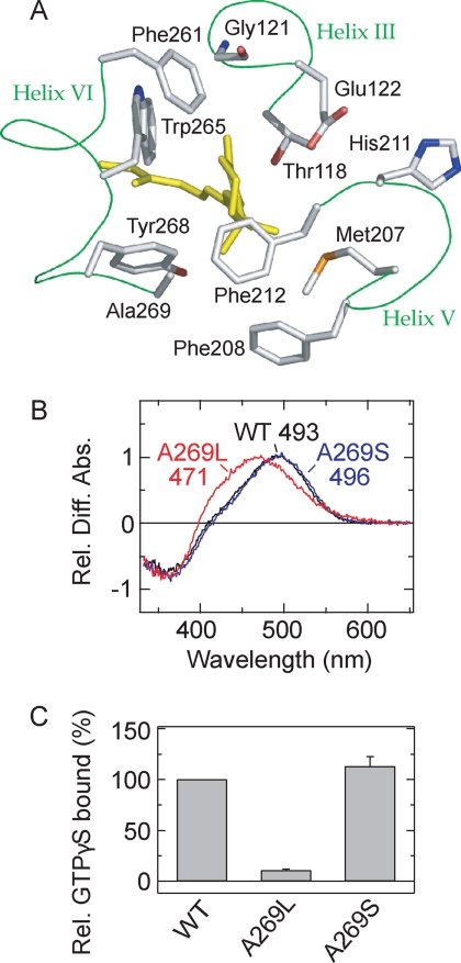 FIGURE 1.