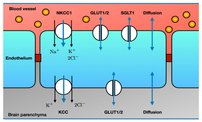 Figure 7