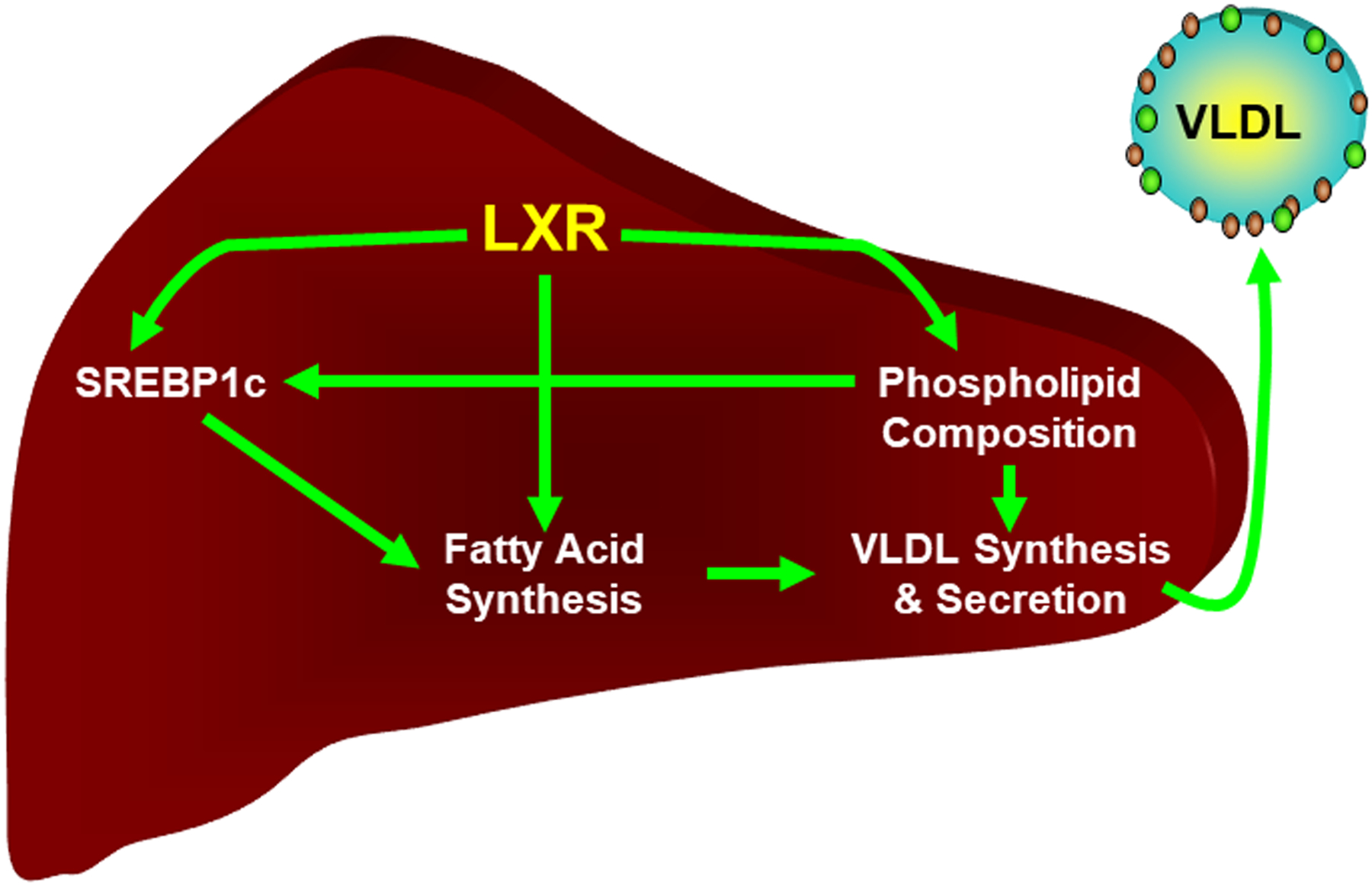 Figure 4.