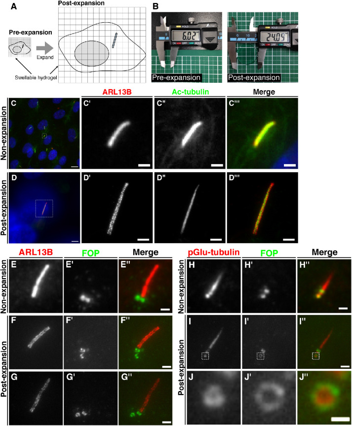 FIGURE 1: