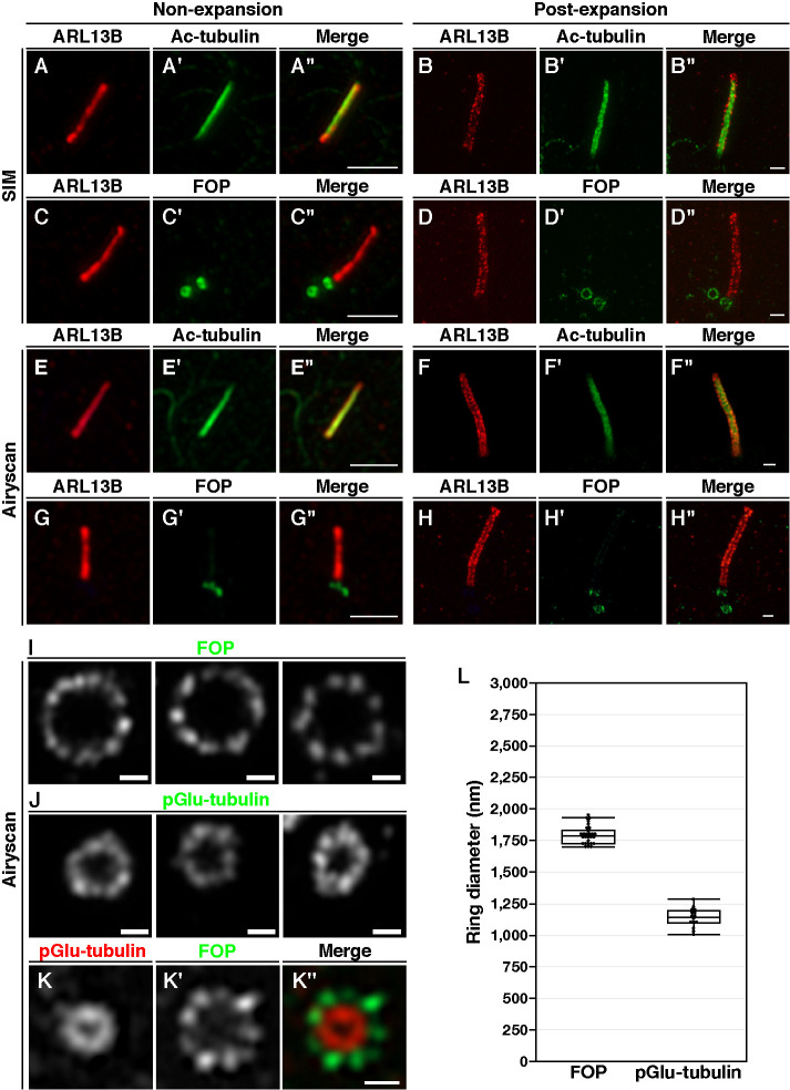 FIGURE 2: