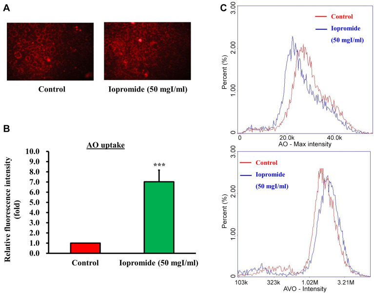 Figure 6