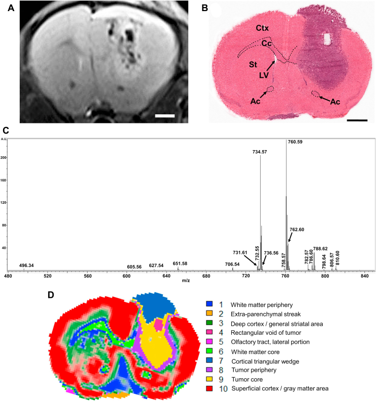 Fig. 1