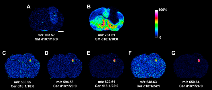 Fig. 4