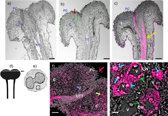 Fig. 6.