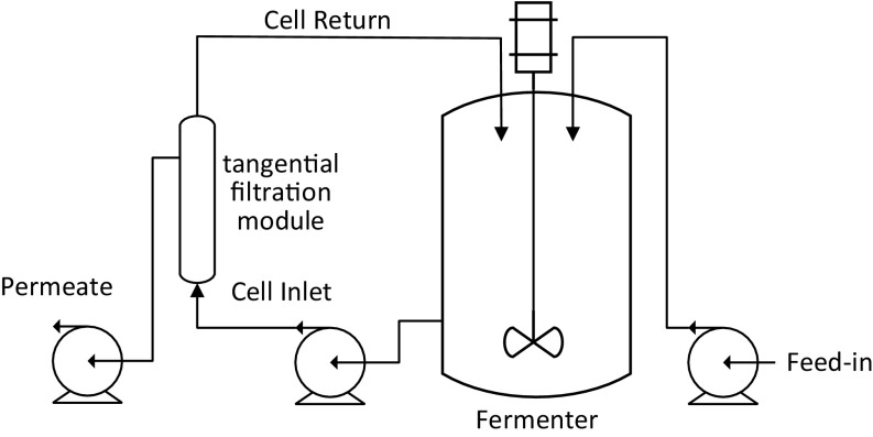 Fig. S1.