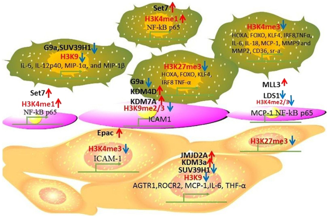 Figure 1.