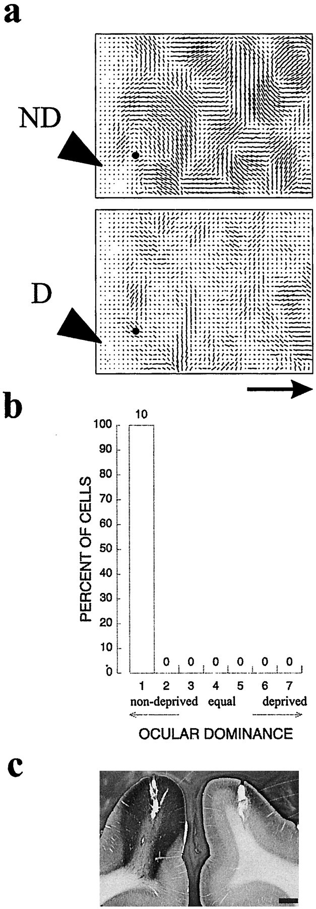 Fig. 11.