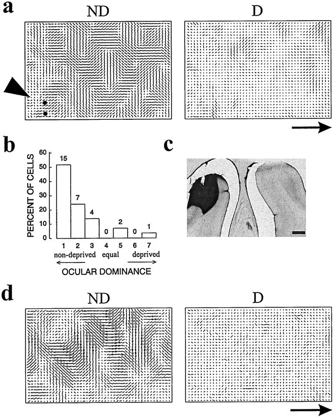 Fig. 10.