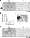 Fig. 10.