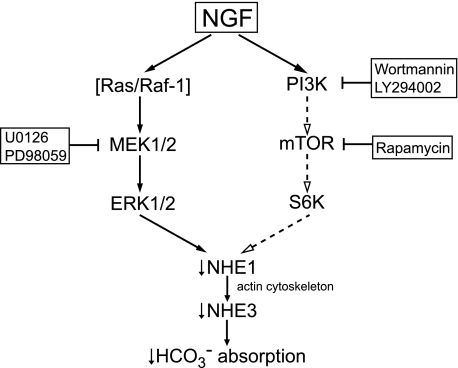 FIGURE 10.