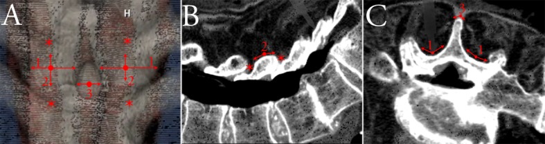 Fig 9