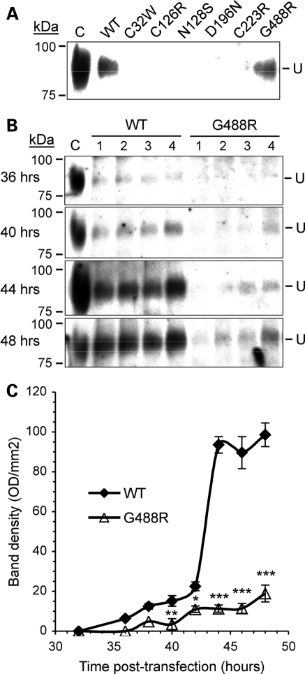 Figure 4.