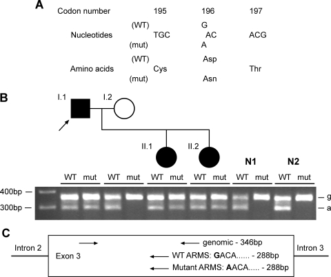 Figure 2.