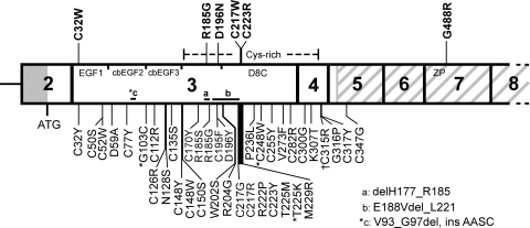 Figure 1.