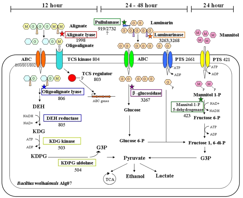 Figure 5