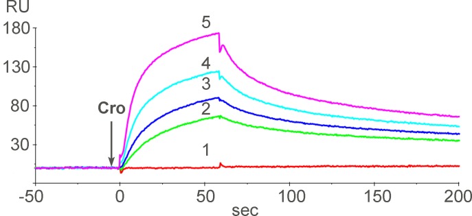 Fig 5