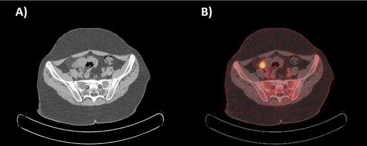 Fig. 4 –