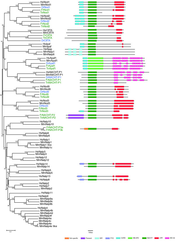 Figure 13