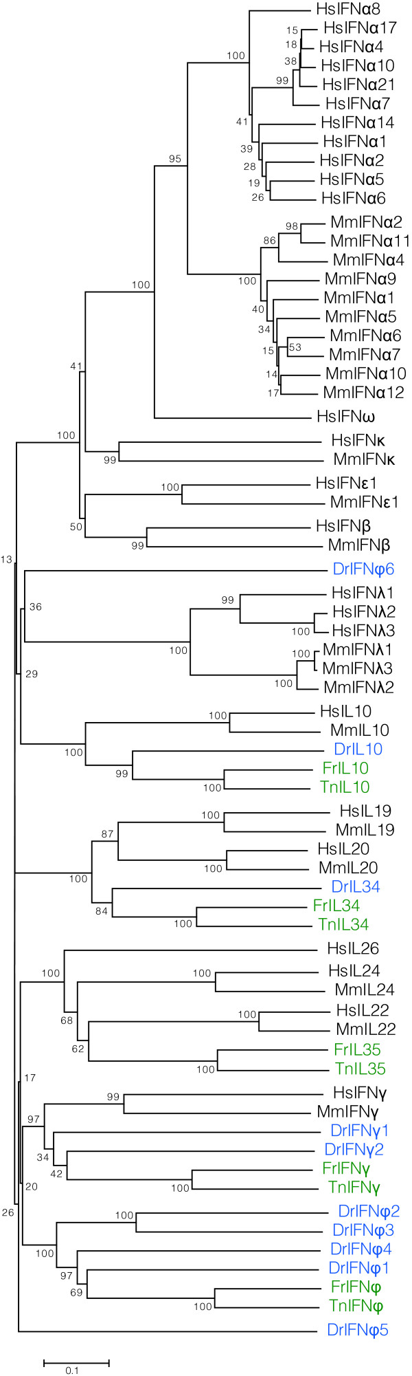 Figure 10