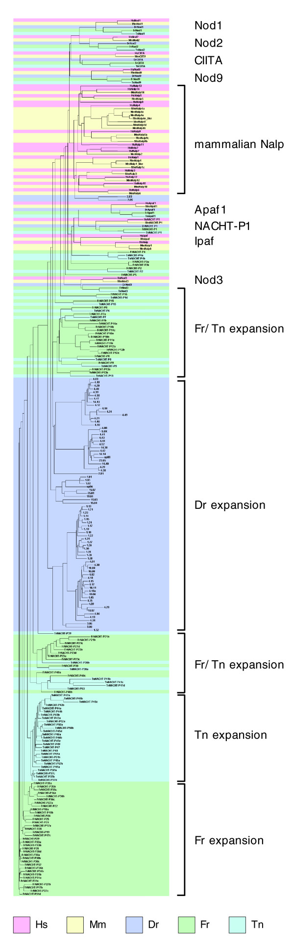 Figure 12