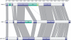 FIG. 2.