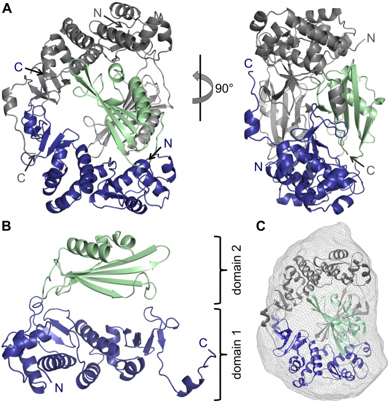 Fig 1