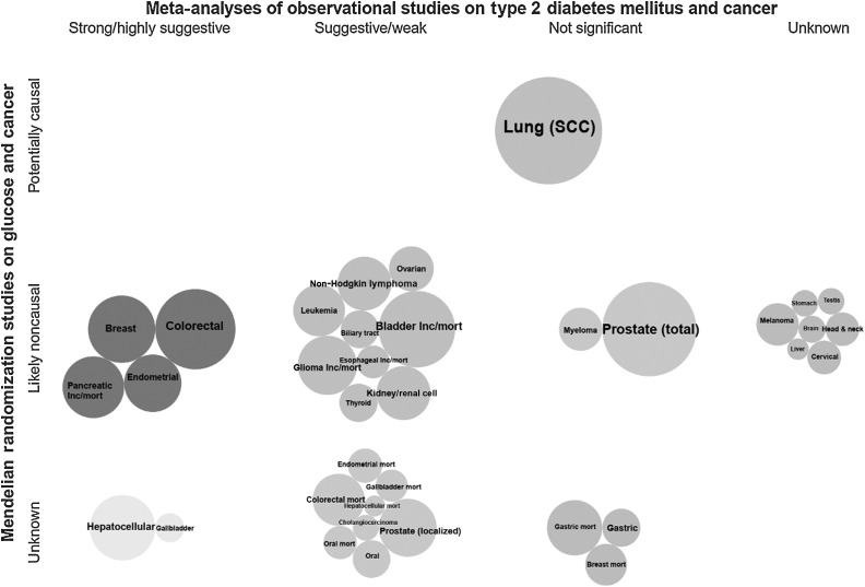 Figure 6. Triangulation of evidence from observational and Mendelian randomization studies assessing association between fasting glucose and site-specific cancers. Bubble size corresponds to the number of cases in the corresponding meta-analysis (more cases→larger bubble). If no meta-analysis was available but an MR analysis was, then bubble size represents the number of cases in the MR analysis. Unless stated as incidence/mortality (i.e., both), is incidence, *, mortality.