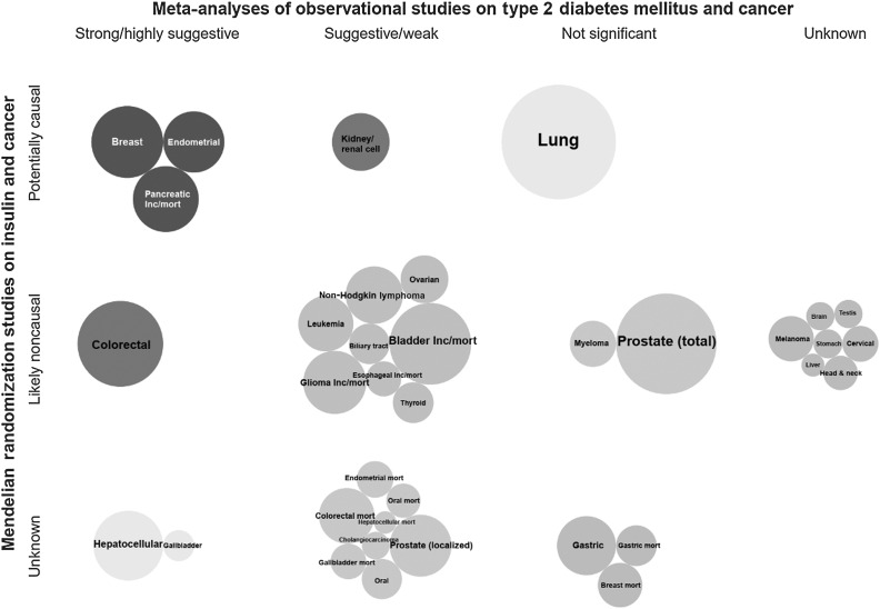 Figure 5. Triangulation of evidence from observational and Mendelian randomization studies assessing association between fasting insulin and site-specific cancers. Bubble size corresponds to the number of cases in the corresponding meta-analysis (more cases→larger bubble). If no meta-analysis was available but an MR analysis was, then bubble size represents the number of cases in the MR analysis. Unless stated as incidence/mortality (i.e., both), is incidence, *, mortality.