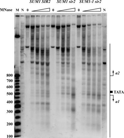 Figure 9.