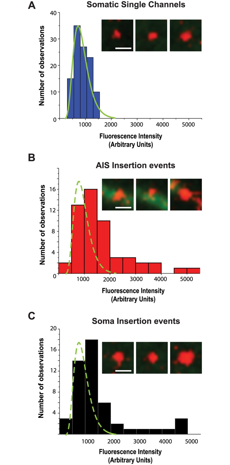 Fig 6