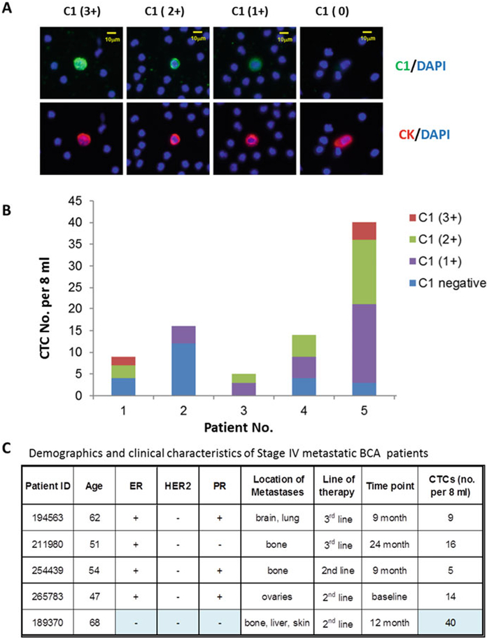 Fig. 15.4