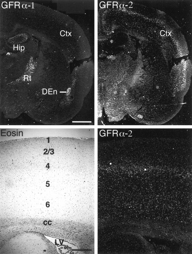 Fig. 10.