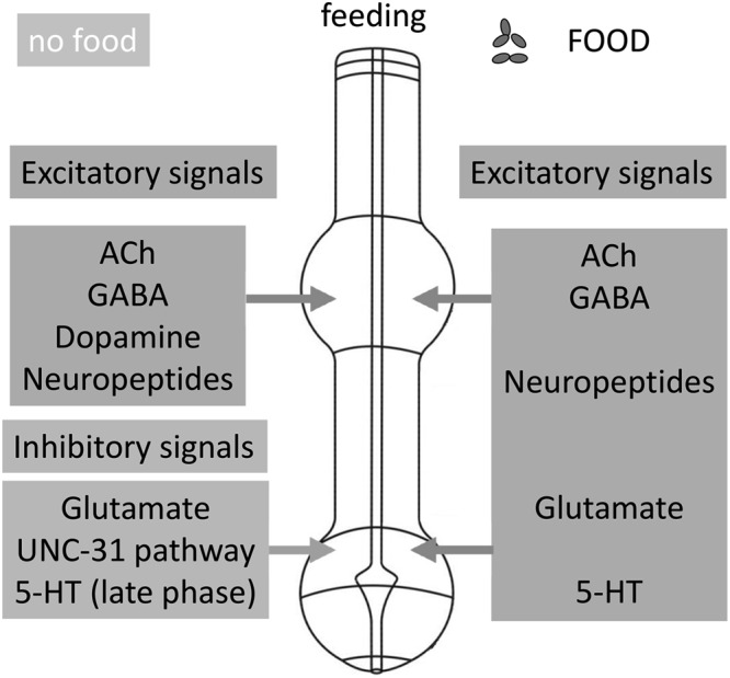 Figure 7.