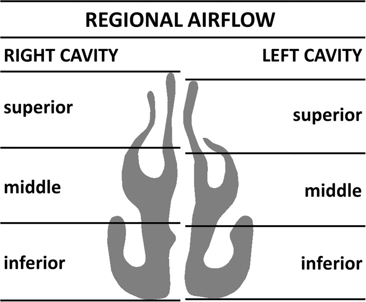 Fig 7